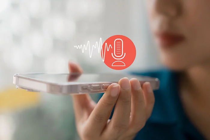 voice-search